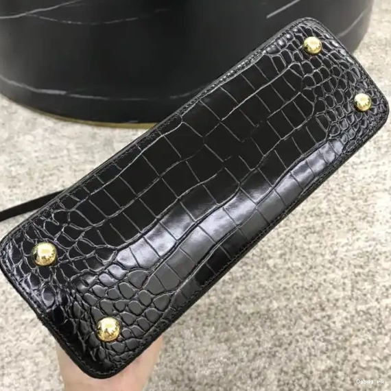 PM LOUIS VUITTON CAPUCINES 0528